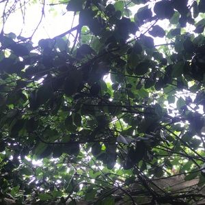 Meet your Posher, Payton